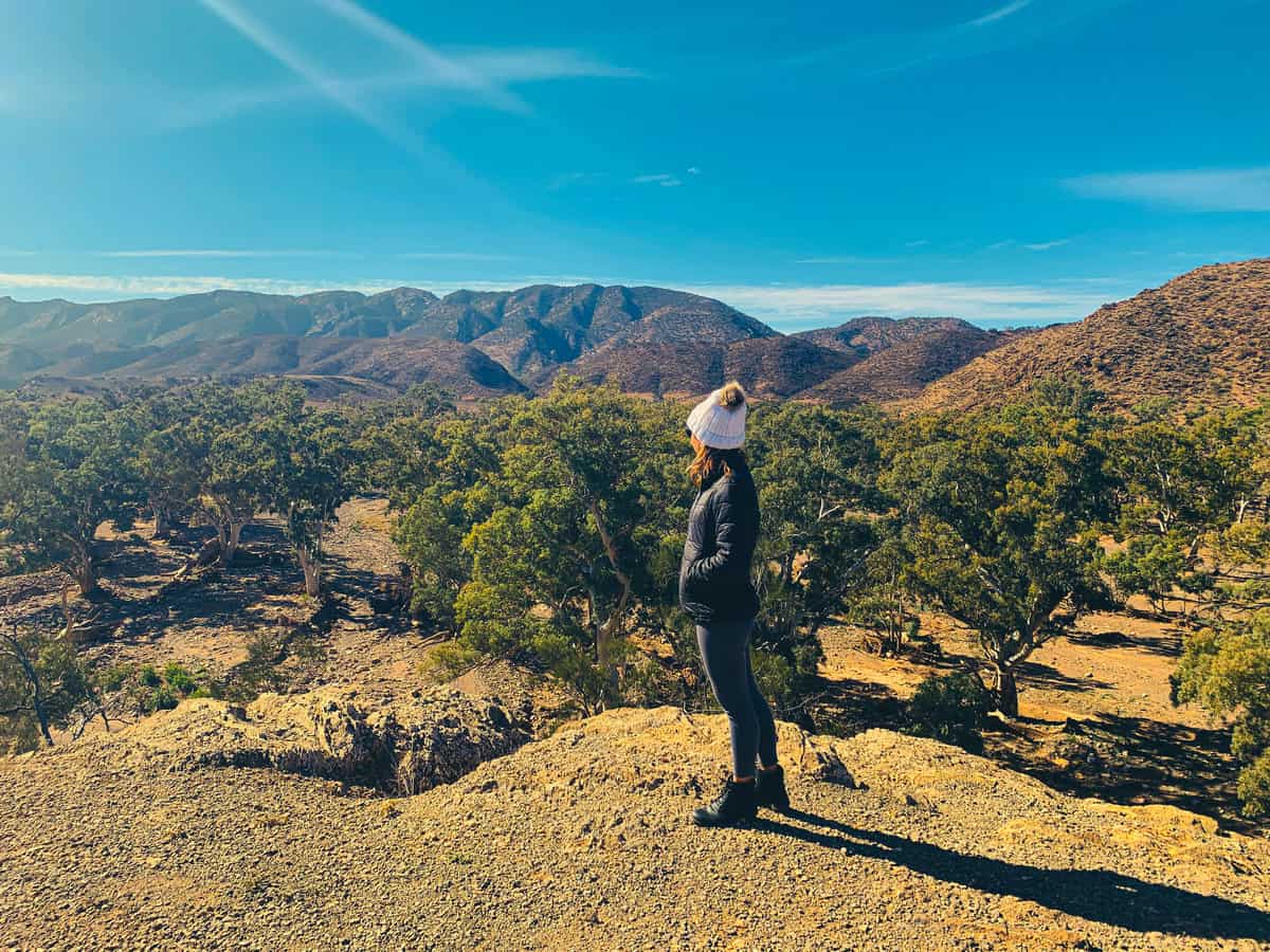 one of the things to do in flinders ranges is brachina gorge geological trail flinders ranges