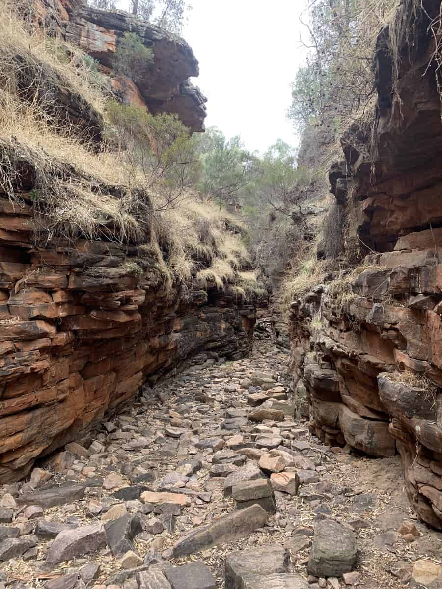 one of the things to do in flinders ranges is to visit the alligator gorge in mount remarkable