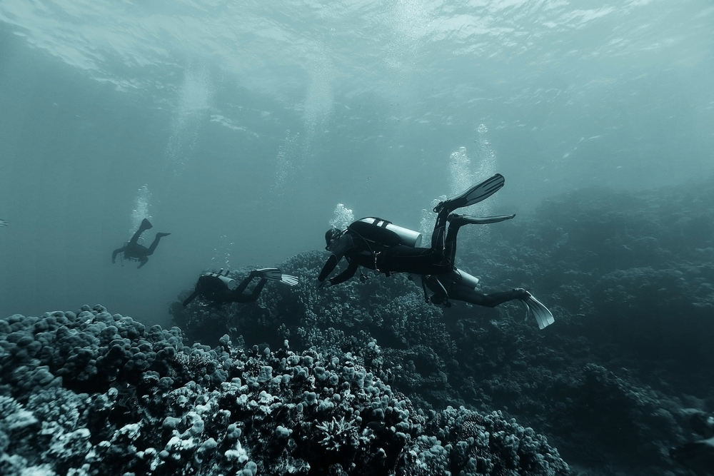 divers underwater the sea