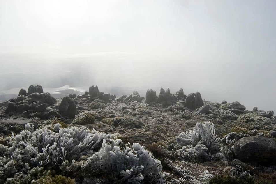 Frost-covered landscape at Mount Wellington, showing evidence of snow near Hobart, capturing the rare and beautiful event of snowfall in the region, which is a point of curiosity for many visitors.