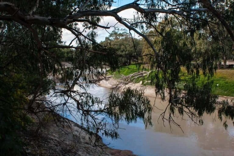 How Many Rivers Are There in Australia?