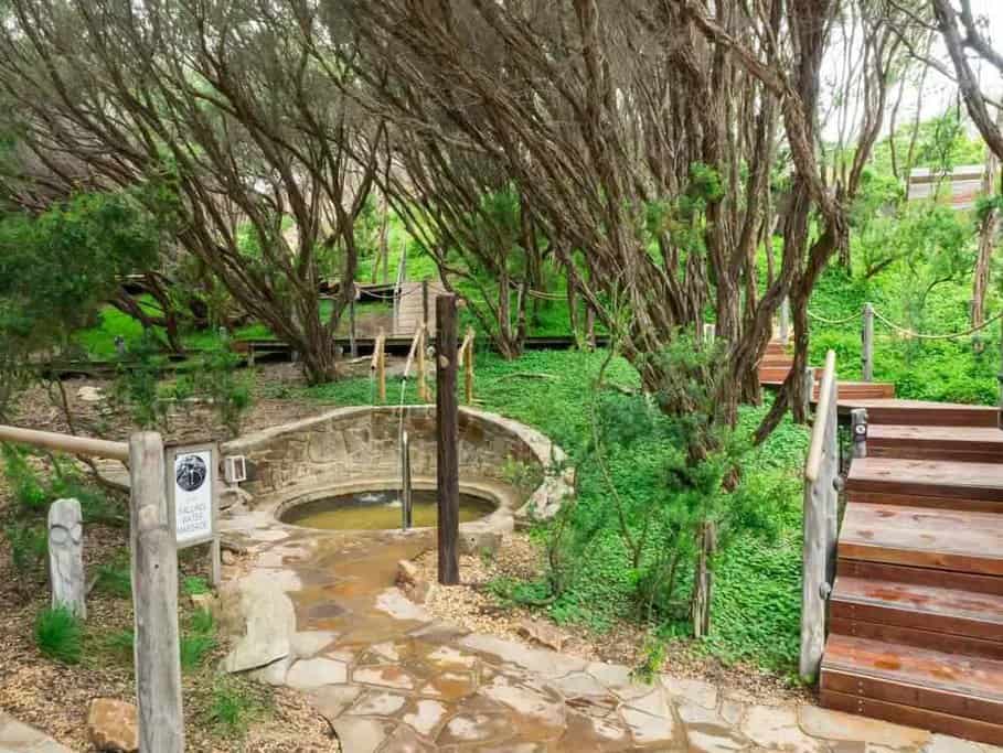 A tranquil hot spring surrounded by twisted trees and lush greenery, inviting relaxation after private winery tours in Mornington Peninsula.