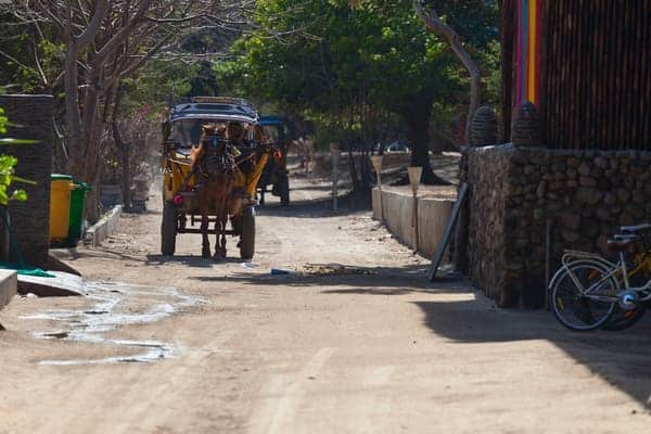A traditional horse-drawn carriage travels down a dusty road on Gili Island, offering an eco-friendly transport option for exploring the sights and experiencing the laid-back atmosphere, one of the unique things to do in Gili Islands.