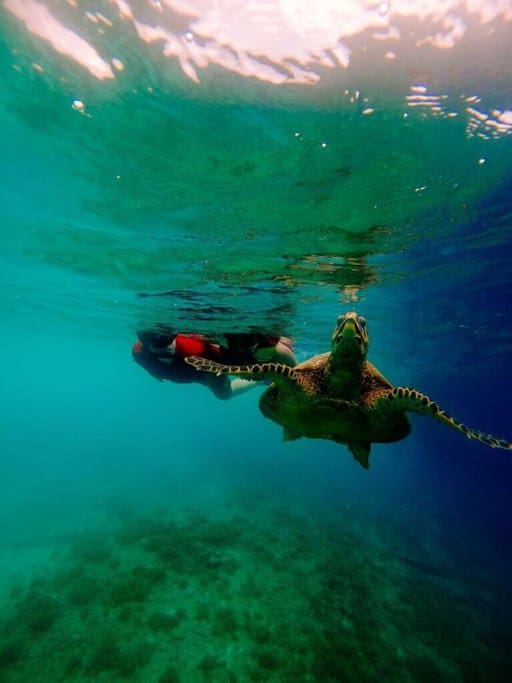 Me and my husband snorkelling with a sea turtle in the clear waters of the Gili Islands, capturing a personal and magical moment that highlights the intimate wildlife encounters possible while exploring things to do in the Gili Islands.