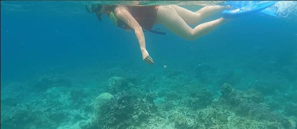 Me snorkelling in the clear waters above a coral reef in the Gili Islands, showcasing underwater exploration as one of the thrilling things to do in Gili Islands.