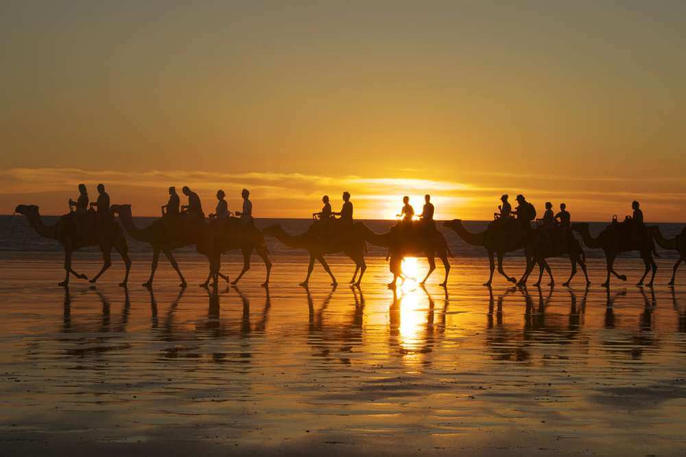 Camel train silhouette against a golden sunset on Cable Beach, reflecting the unique experiences available at beaches in Australia.