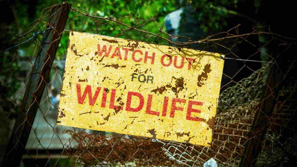 Watch out for Wildlife sign on rusty fence