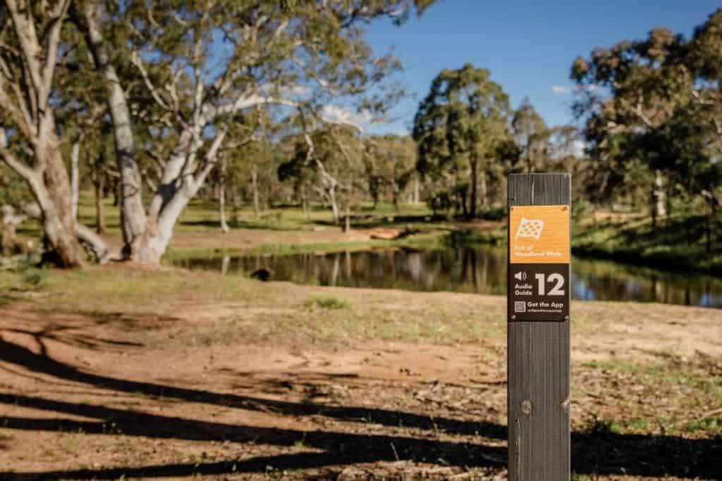 A trail marker at Mulligans Flat Woodland Sanctuary, a protected nature reserve in Canberra. This conservation area is a lesser-known gem in the ACT, offering scenic walking trails, native wildlife, and a glimpse into restored woodlands. A perfect destination for those seeking an off-the-beaten-path nature experience.
