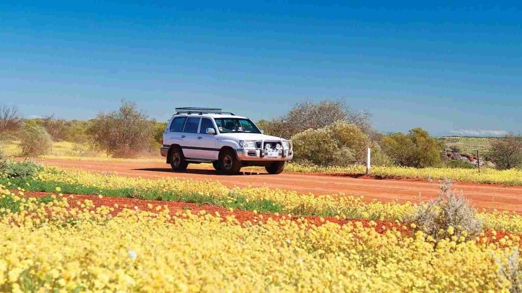 Coalseam Conservation Park, Mingenew
