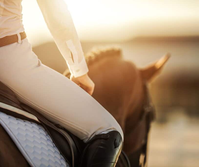 Horse Riding in Hunter Valley