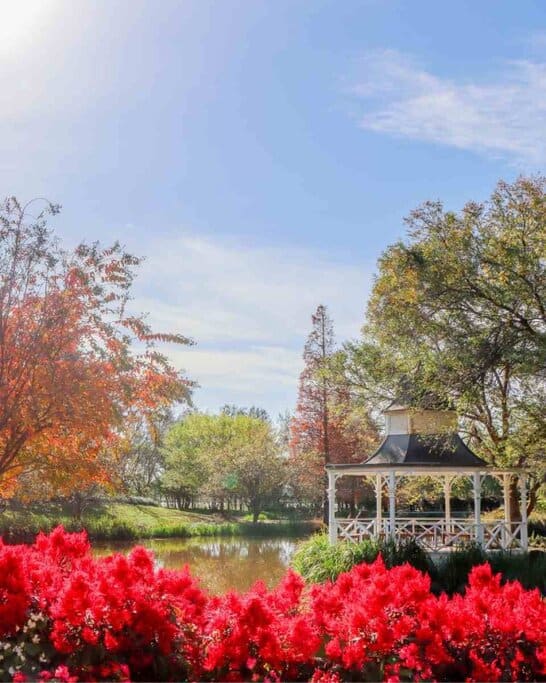 Hunter Valley Gardens