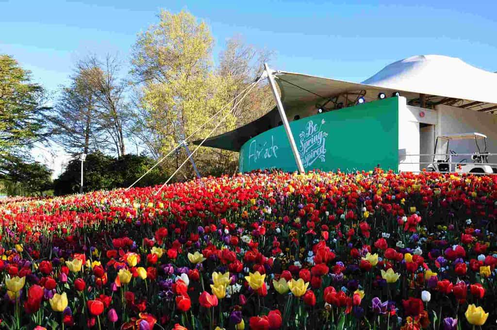 canberra floriade festival in australia started from end of september till beginning of October