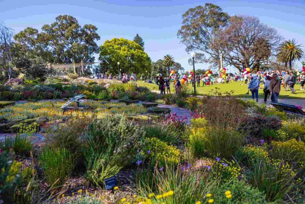Kings Park Festival