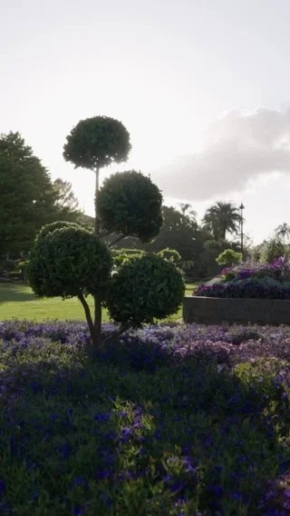 Toowoomba Carnival of Flowers