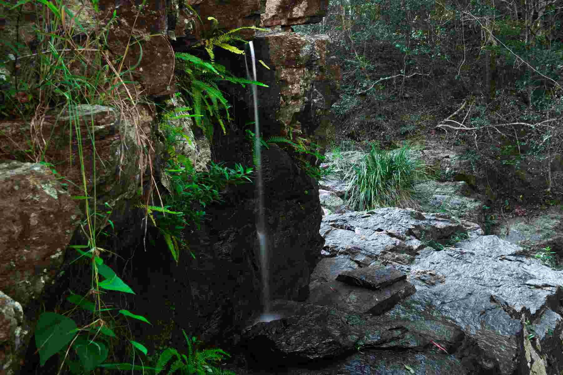 J C Slaughter Falls is a cascade waterfall located near Mt Coot-tha in Brisbane, Queensland, Australia.