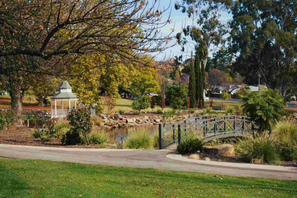 A beautiful autumn day to be strolling around the Wagga Wagga Botanical Gardens