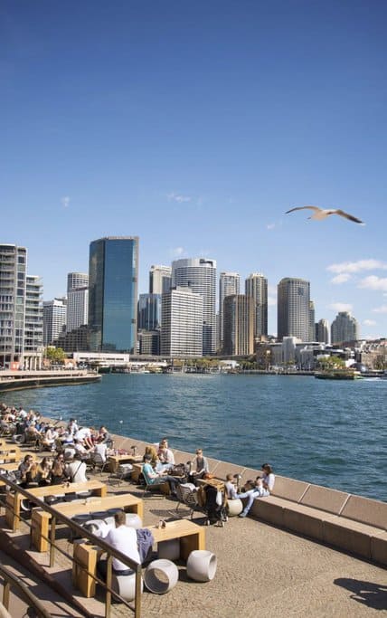 People sit and relax at waterfront tables along the Sydney Harbour promenade, with views of the modern city skyline across the water. A seagull flies overhead against a clear blue sky, adding to the laid-back, sunny atmosphere.