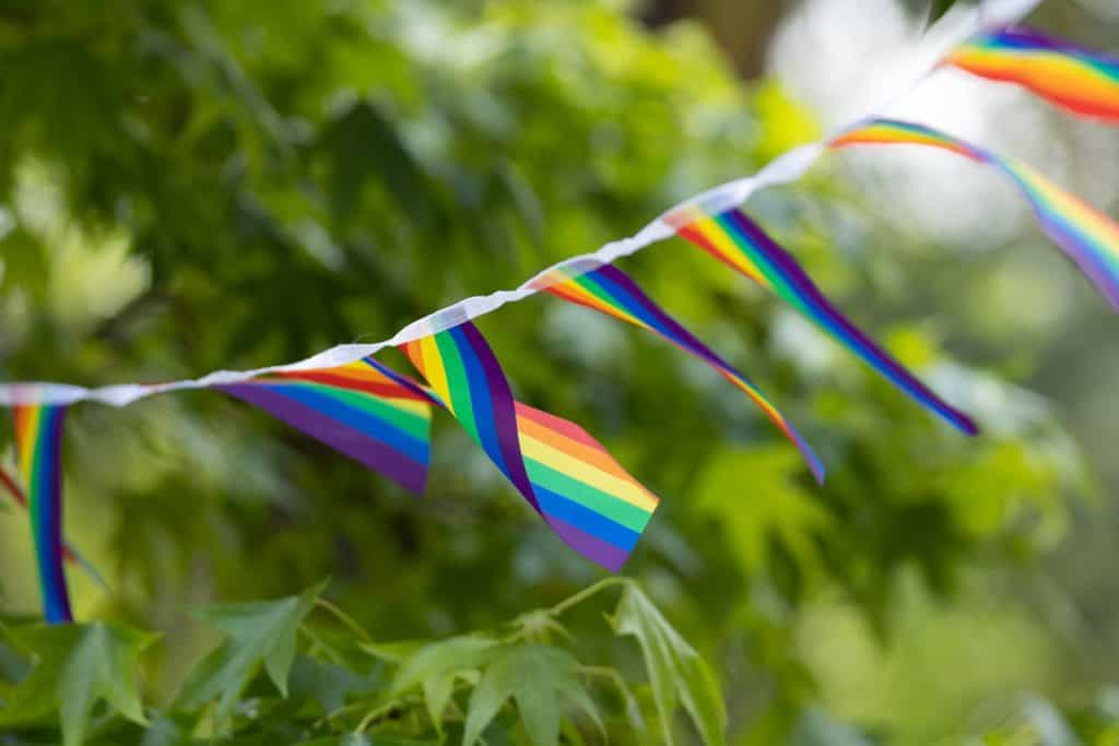 Rainbow bunting flags strung between trees in a leafy Sydney street, representing community pride and the festive atmosphere of Sydney Mardi Gras 2026 celebrations across the city