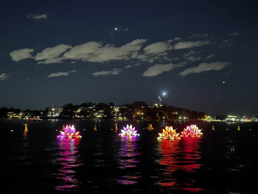 Glowing lotus light installations floating on Sydney Harbour at night with colourful reflections on the water.