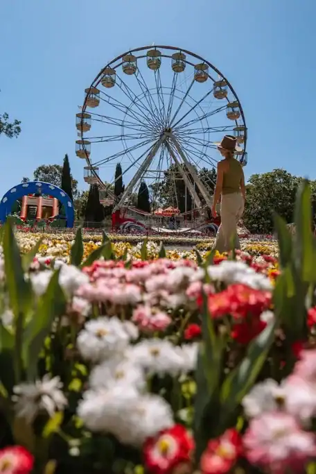A visitor wearing a wide brim hat stands among colourful flower beds at Floriade 2026 Canberra, looking toward a large Ferris wheel under a clear blue sky. The scene captures the festival atmosphere of Floriade 2026 with vibrant spring blooms and one of the event's iconic attractions.