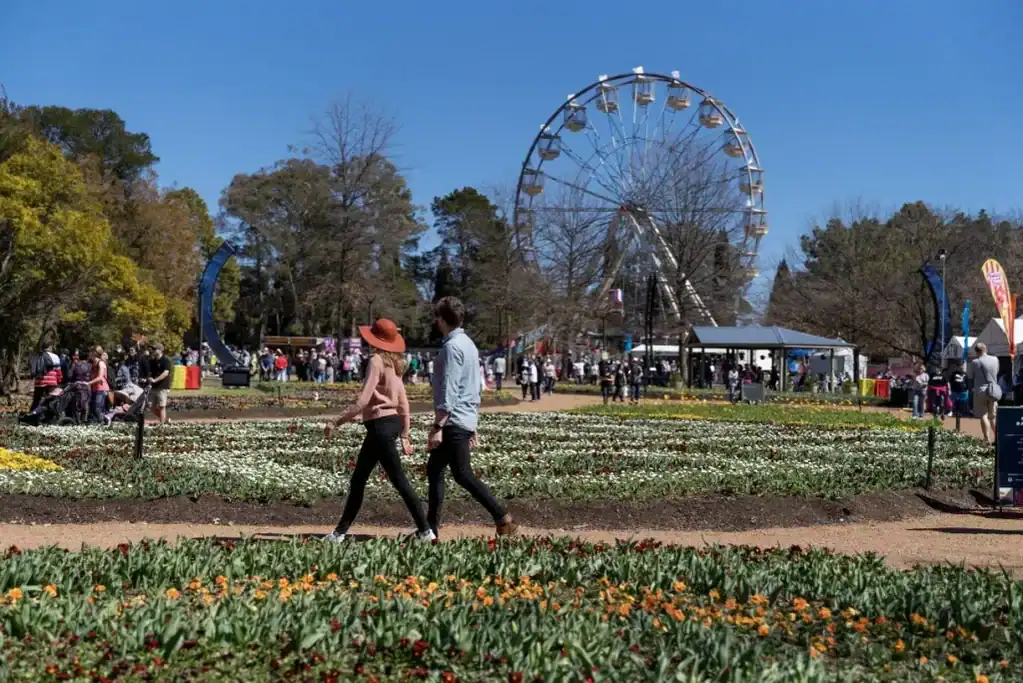 Visitors stroll through colourful flower beds at Floriade, with a large Ferris wheel and festival crowds spread across the gardens under a clear blue sky. The photo captures the lively spring atmosphere and expansive displays that make Canberra's flower festival a popular annual event.