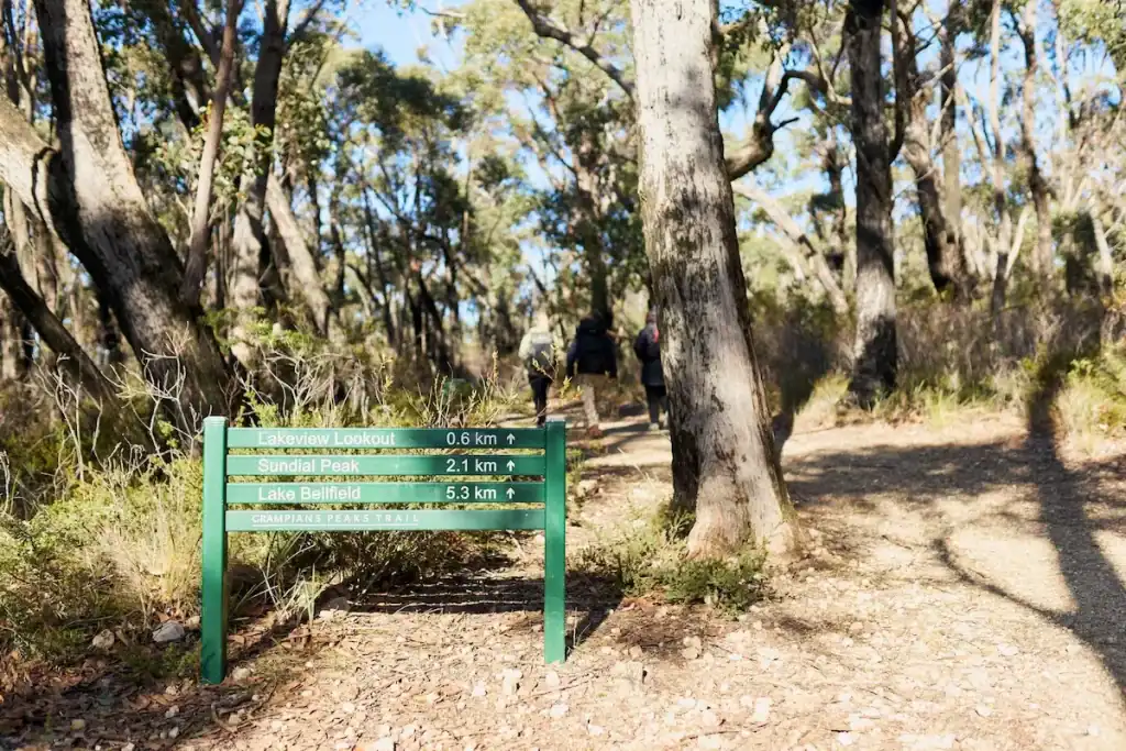 Trail sign in Halls Gap points hikers toward Lakeview Lookout, Sundial Peak, and Lake Bellfield along the Grampians Peaks Trail through native eucalyptus forest. This scenic route is a standout destination in an Australia hiking guide.