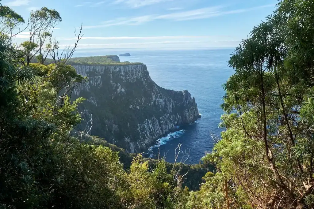 Forest-framed view of the dramatic sea cliffs along the Three Capes Track overlooking the Tasman Sea under a clear blue sky. The rugged coastline showcases why the Three Capes Track is one of the best hikes in Australia.