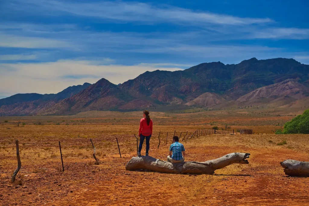 Two people pause beside a fallen tree on Moralana Scenic Drive at Merna Mora Station with rugged mountain ranges rising across the red outback landscape. A scenic stop while camping in the Flinders Ranges.