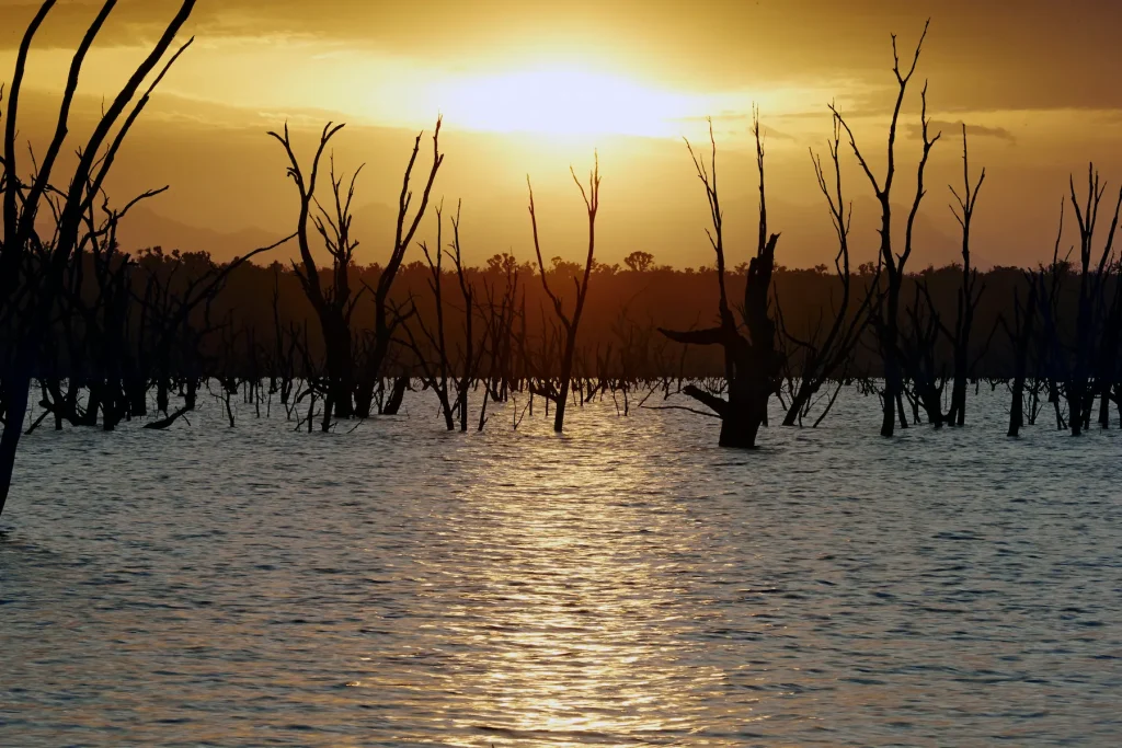 Golden sunset over Rocklands Reservoir with bare tree trunks silhouetted across the water. A peaceful waterside scene for a Grampians camping trip.