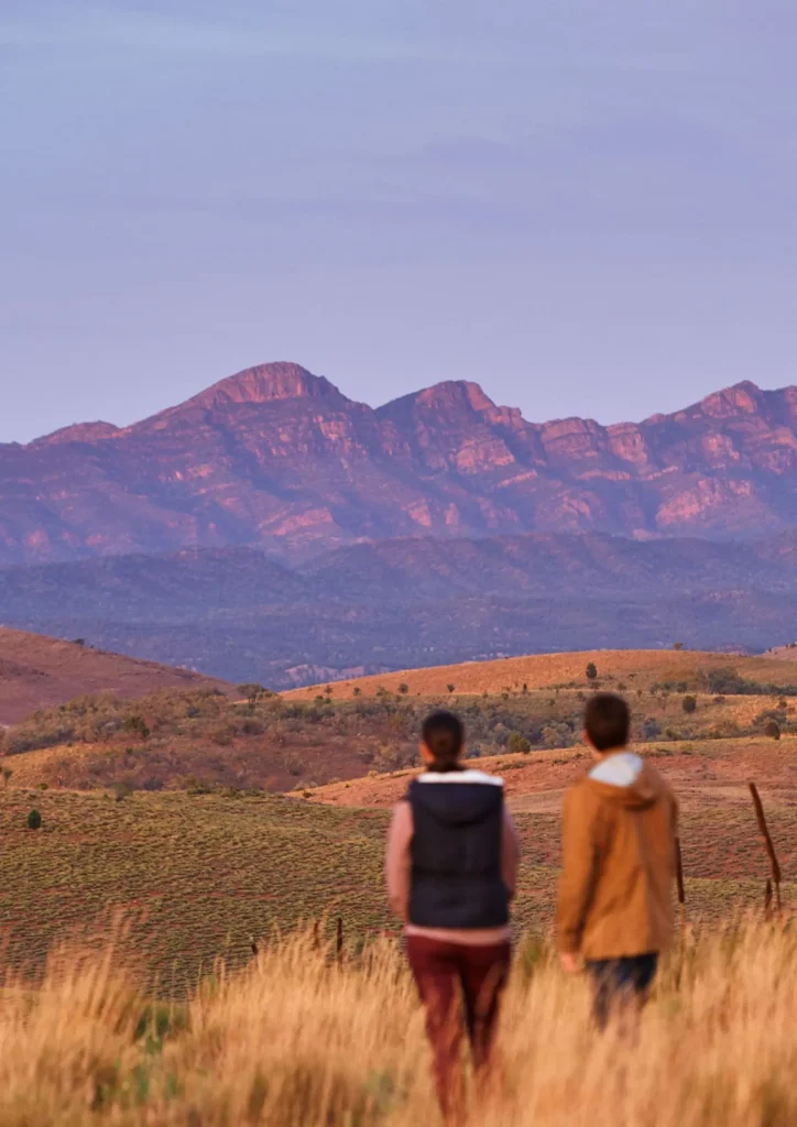 Two visitors look across golden grass and rolling outback hills toward the rugged Flinders Ranges glowing pink at sunset. Upalinna Lookout is a scenic stop on a Flinders Ranges camping adventure.